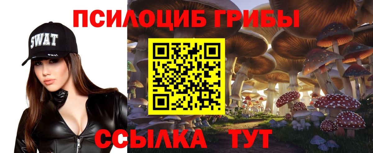 Гурьевск  Псилоцибиновые грибы мицелий  магазин продажи   Вход с VPN 